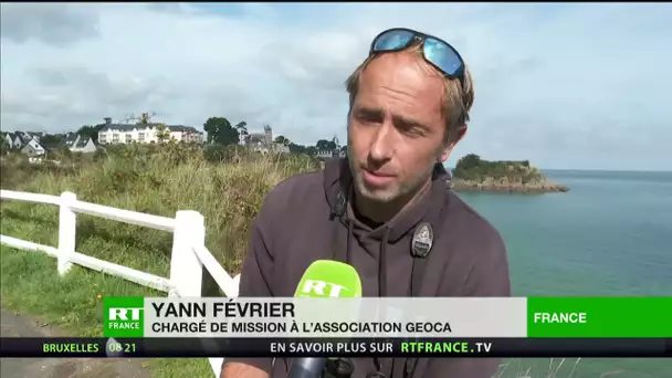 Saint-Brieuc : pêcheurs et associations s’opposent à la construction d’un parc éolien