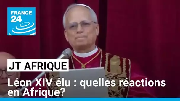 Léon XIV élu : quelles réactions en Afrique? • FRANCE 24