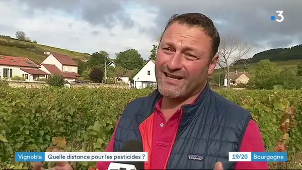 Pesticides : les viticulteurs de Bourgogne "très inquiets" du projet d'arrêté