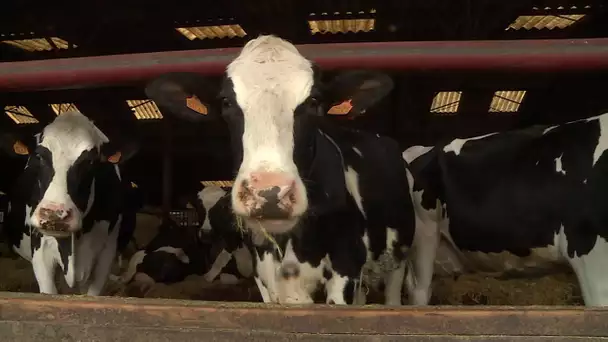 Dordogne : rencontre d'éleveurs sur le thème de la canicule et du bien-être animal