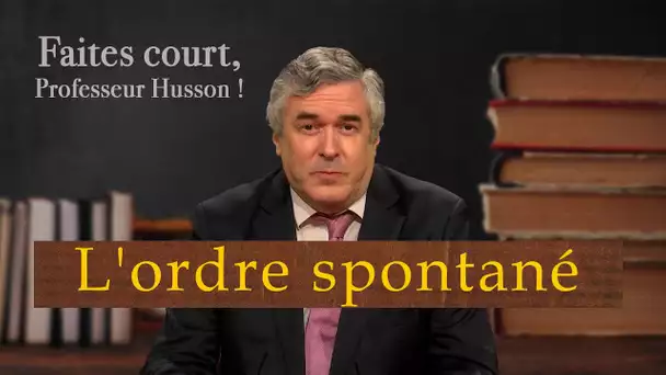 [Format court] Vers la révolution éducative de l'ordre spontané - Faites court, professeur Husson