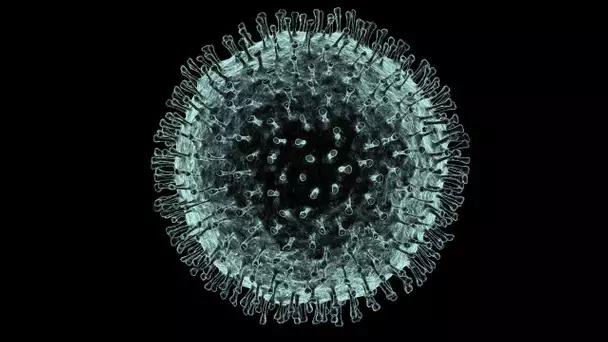 LE CORONAVIRUS, VOICI TOUT CE QUE VOUS DEVEZ SAVOIR SUR CETTE ÉPIDÉMIE !