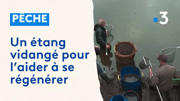 Vidange d'un étang en Haute-Saône