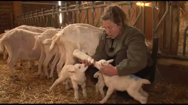 Jeune agricultrice j'ai du mal à m'en sortir