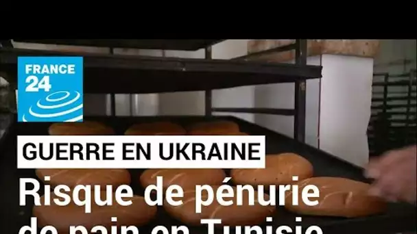 Guerre en Ukraine : le risque de pénurie de pain en Tunisie • FRANCE 24
