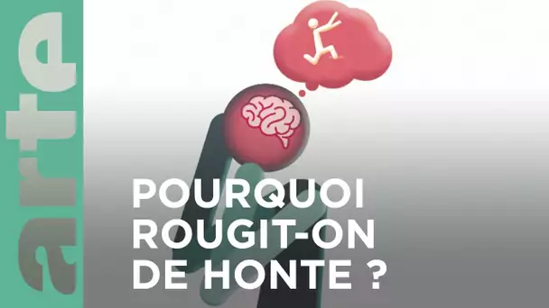 Pourquoi rougit-on de honte ? | ARTE Family