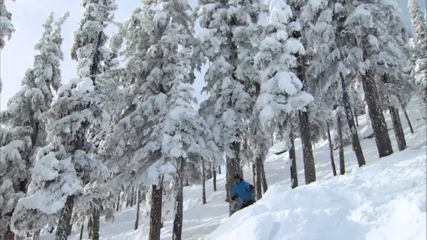 Voyagez À La Station De Ski Whistler-Blackcomb