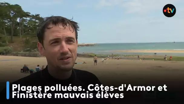 Plages polluées. Côtes-d'Armor et Finistère mauvais élèves