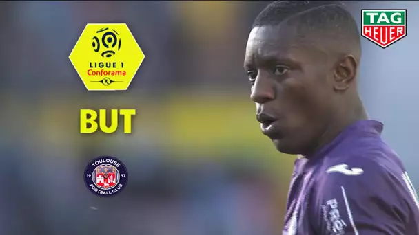 But Max-Alain GRADEL (90' +1) / Toulouse FC - SM Caen (1-1)  (TFC-SMC)/ 2018-19