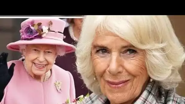 Camilla s'est battue pour gagner le cœur du public en essayant d'être un miroir de la reine