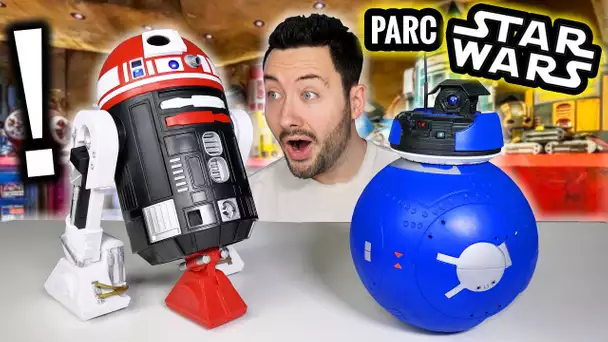 Faire son R2-D2 / BB-8 à 100€ au Parc Star Wars !