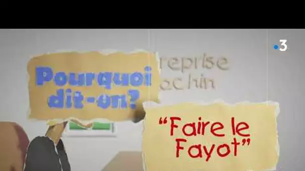 Pourquoi dit-on : "faire le fayot" !