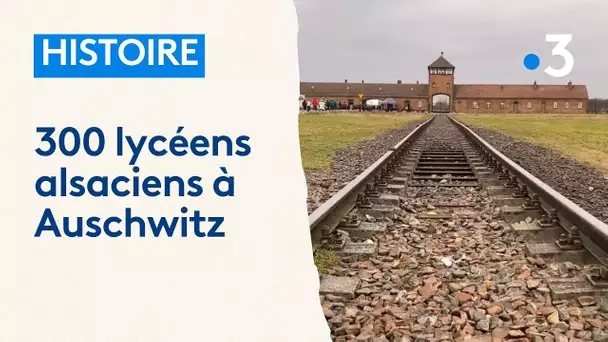 Histoire : 300 lycéens alsaciens à Auschwitz