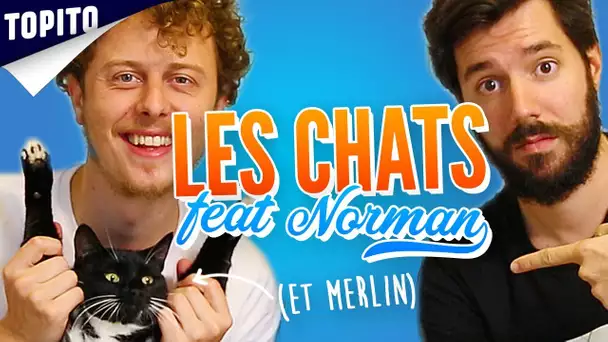 Top 8 des trucs à savoir sur les chats (feat. Norman)