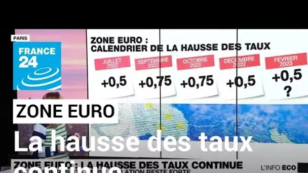Zone euro : la hausse des taux continue face à une inflation qui reste forte • FRANCE 24