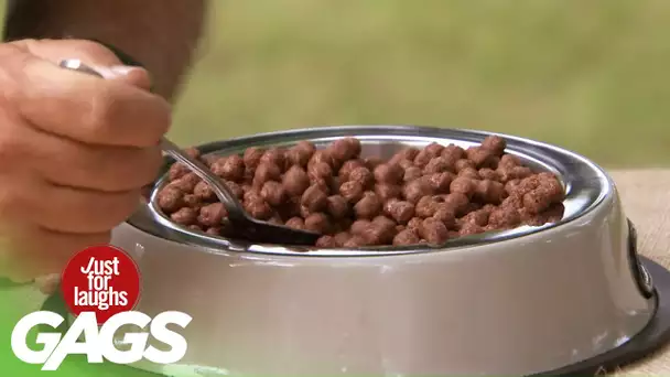 Un aveugle mange de la nourriture pour chiens par accident