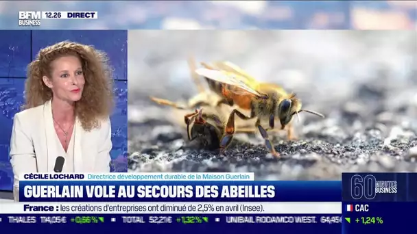 Cécile Lochard (Maison Guerlain): Guerlain vole au secours des abeilles