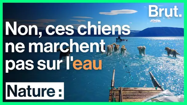 Groenland : un scientifique surpris par la fonte des glaces précoce