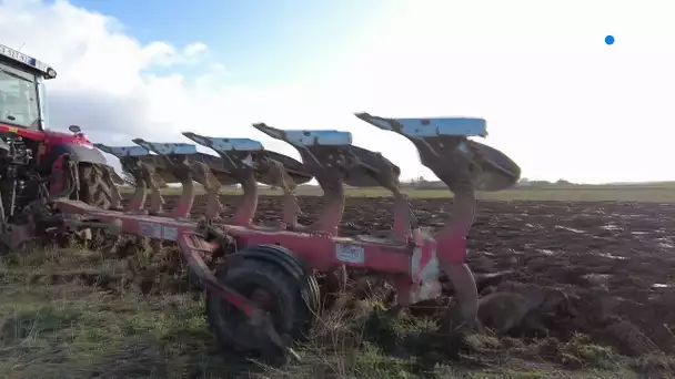 Action d'agriculteurs des Weppes sur 28 hectares en friche.