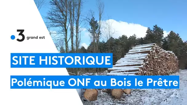 Polémique suite à une coupe de bois par l'ONF dans le site historique du Bois le Prêtre