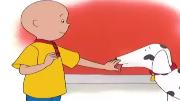 Caillou et le Chien Amical | Caillou en Français