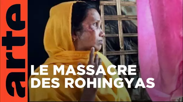 Rohingya, la mécanique du crime | ARTE