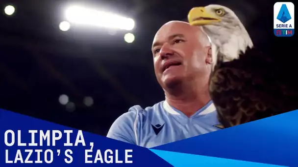 Olimpia, The Eagle Who Flies Above Lazio's Stadium |  Serie A TIM