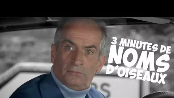 3 minutes de noms d&#039;oiseaux avec Louis de Funès !