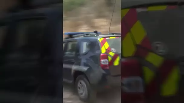 Il fait partir un feu de forêt comme à l'âge de pierre