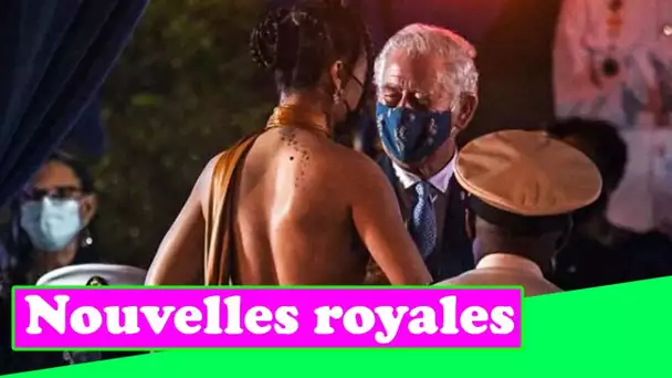 Rihanna rencontre le prince Charles alors qu'elle est déclarée "héroïne nationale" à la Barbade