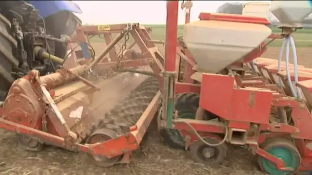 Près du Havre : l&#039;agriculture de conservation