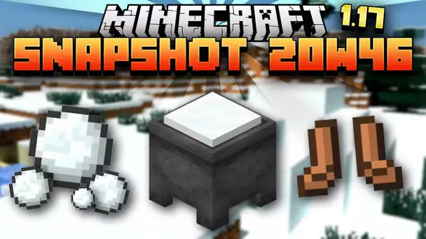 Minecraft 1.17 - Snapshot 20w46 - De la poudreuse mmmmmhhhhh