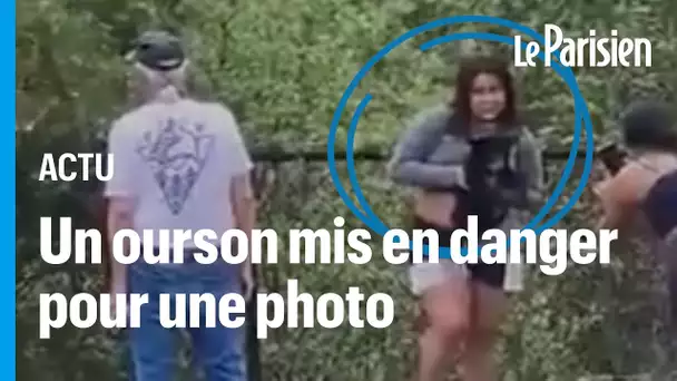 États-Unis : hilares, ils arrachent un ourson d’un arbre pour prendre une photo