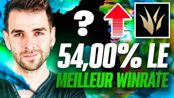 [TUTO] CE CHAMPION EST LE 1er WINRATE JUNGLE (COMMENT SNOWBALL "FACILEMENT")