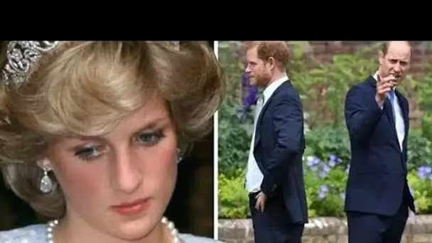 La princesse Diana a vu Harry comme un "ailier" pour William dans un "travail solitaire" en tant que