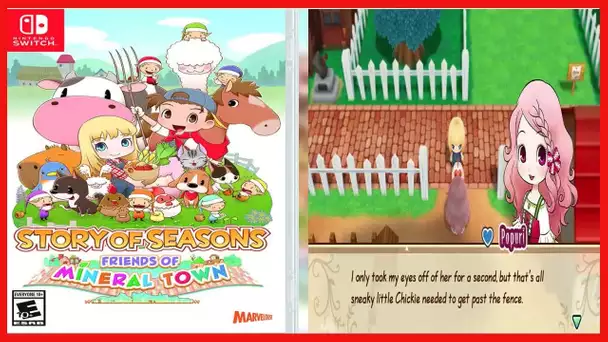 Story of Seasons: Friends of Mineral Town - Nintendo Switch