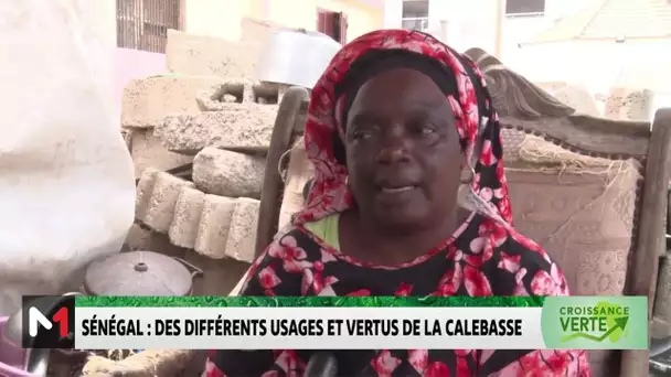 #CroissanceVerte .. Sénégal: Des différents usages et vertus de la Calebasse