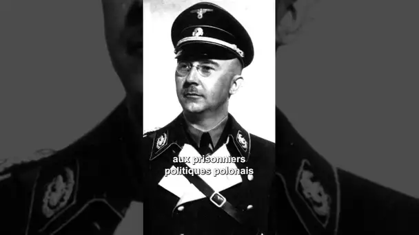 Libération d'Auschwitz : c'était il y a 80 ans