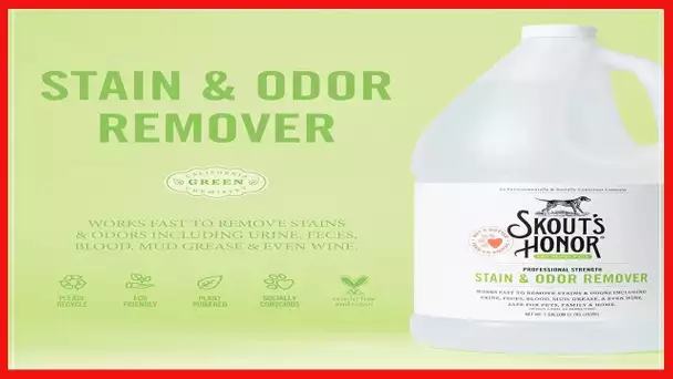 SKOUT'S HONOR Stain & Odor Remover for Dogs