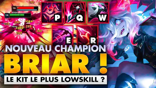 RIOT?? C EST QUOI CETTE MERDE? BRIAR, LE NOUVEAU PERSO !