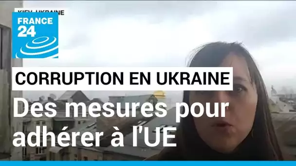 Comment les Ukrainiens vivent les mesures contre la corruption prises par Zelensky ? • FRANCE 24