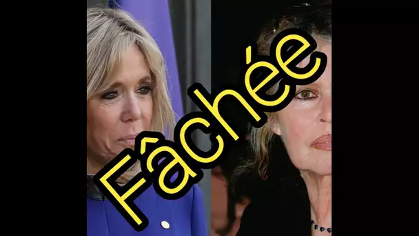 Brigitte Macron « fâchée », sa réplique cash à Brigitte Bardot humiliante