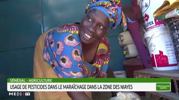 #CroissanceVerte .. Sénégal : usage des pesticides dans le maraichage dans les zones de Niayes
