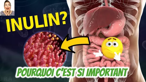 Pourquoi votre intestin a-t-il besoin d&#039;inuline et comment l&#039;obtenir ?