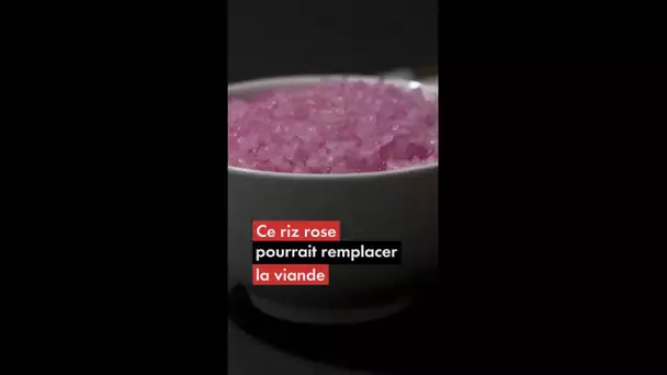 Ce riz rose pourrait remplacer la viande