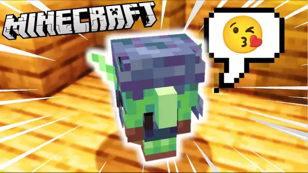 ✨100% NOUVEAU✨DES GOBELINS TROP MIGNONS DANS MINECRAFT 1.17 !