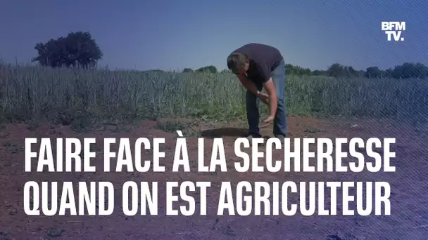 Comment Thierry, agriculteur dans les Deux-Sèvres, fait face à la sécheresse