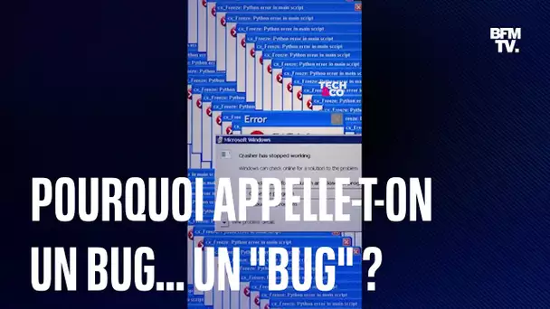Pourquoi appelle-t-on une panne informatique un... "bug" ?
