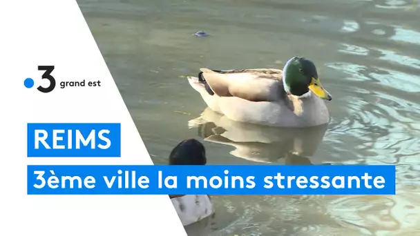 Reims classée troisième au palmarès des villes les moins stressantes de France