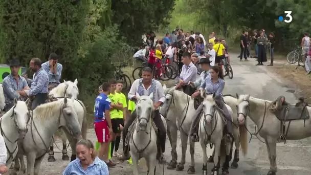 Mauguio : fête votive, abrivado et course camarguaise, on célèbre les taureaux et la bouvine